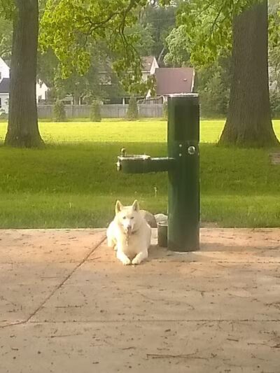 Cambridge Park - Grand Rapids,