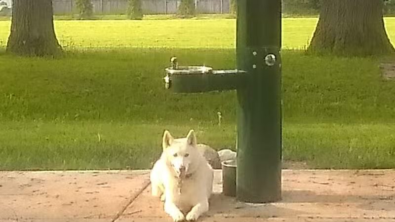 Cambridge Park - Grand Rapids,