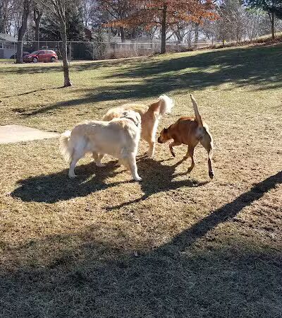 Cambridge Park - Grand Rapids,