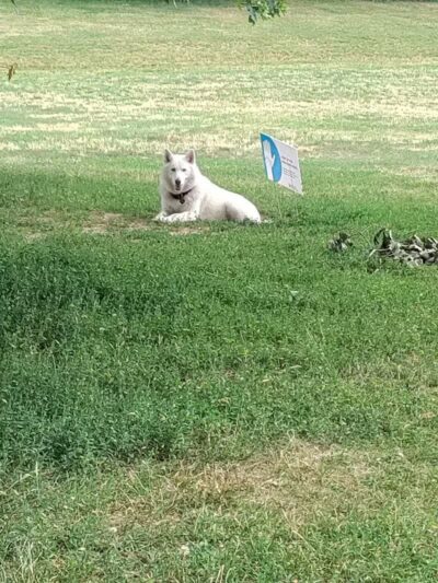 Cambridge Park - Grand Rapids,