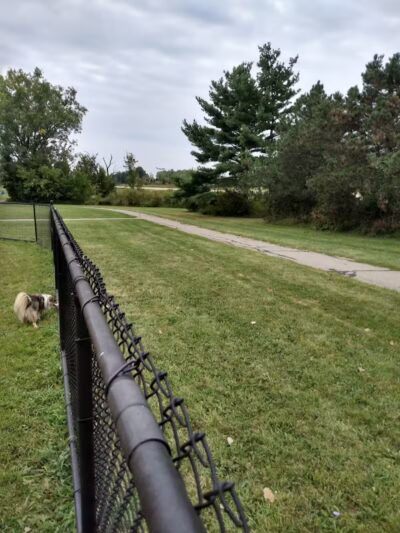 Cascade Dog Park - Grand Rapids, MI