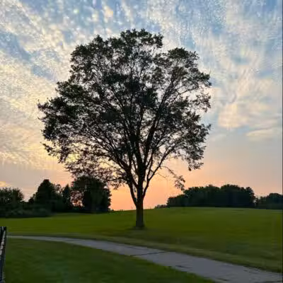 Cascade Dog Park - Grand Rapids, MI