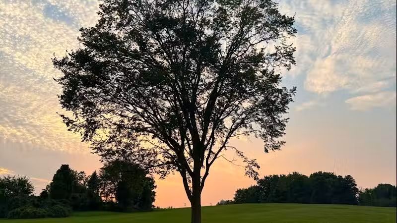 Cascade Dog Park - Grand Rapids, MI