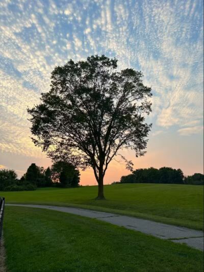 Cascade Dog Park - Grand Rapids, MI