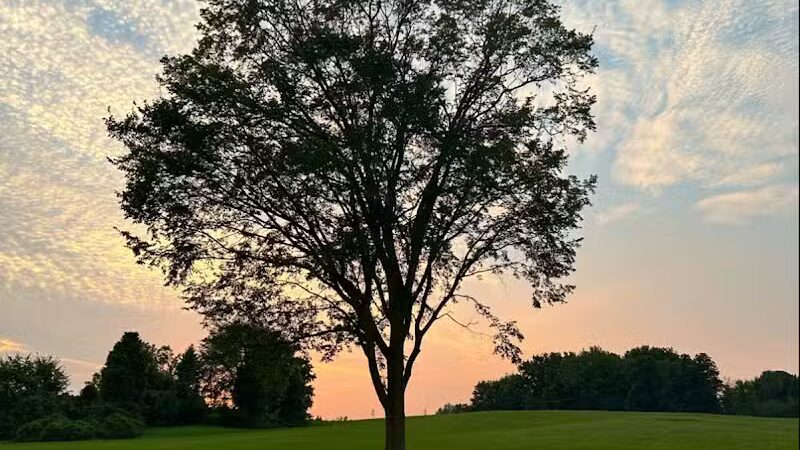 Cascade Dog Park - Grand Rapids, MI