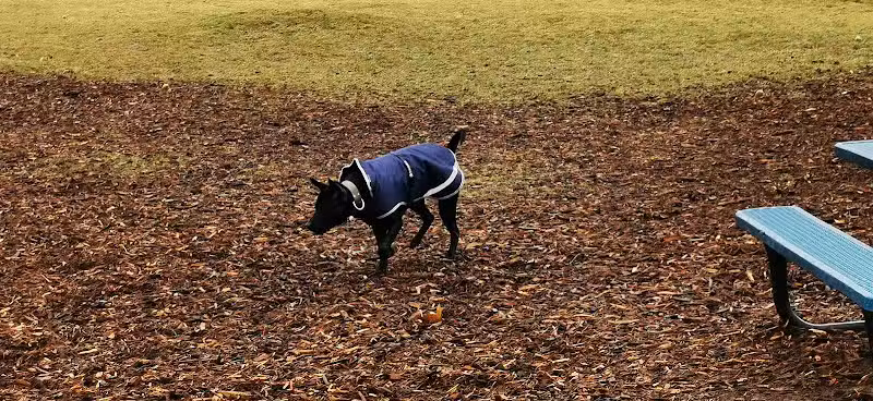 Cascade Dog Park - Grand Rapids, MI