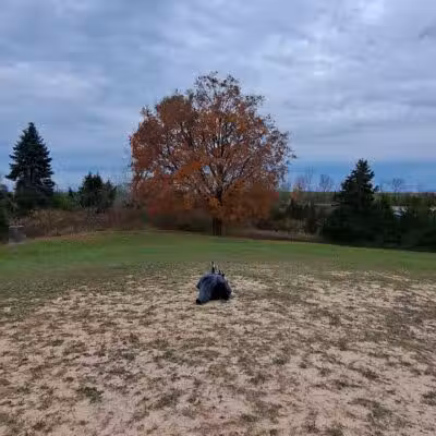 Cascade Dog Park - Grand Rapids, MI