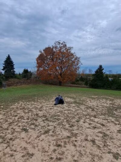 Cascade Dog Park - Grand Rapids, MI