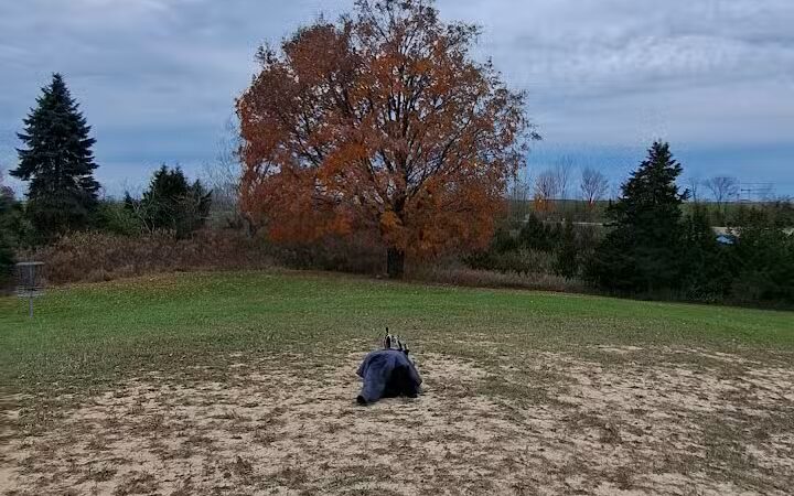 Cascade Dog Park - Grand Rapids, MI