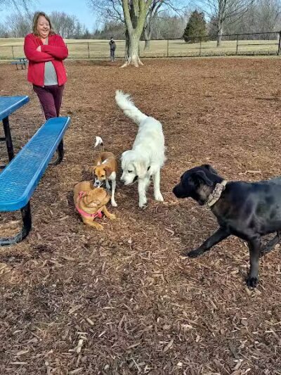 Cascade Dog Park - Grand Rapids, MI