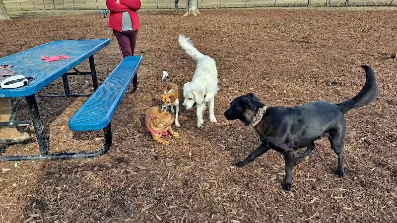 Cascade Dog Park - Grand Rapids, MI