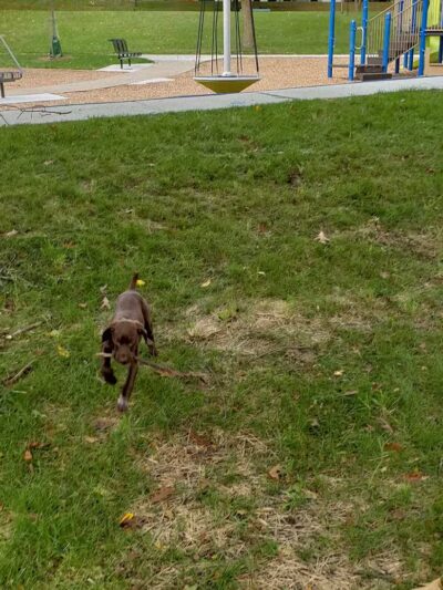 Coit Park - Grand Rapids,