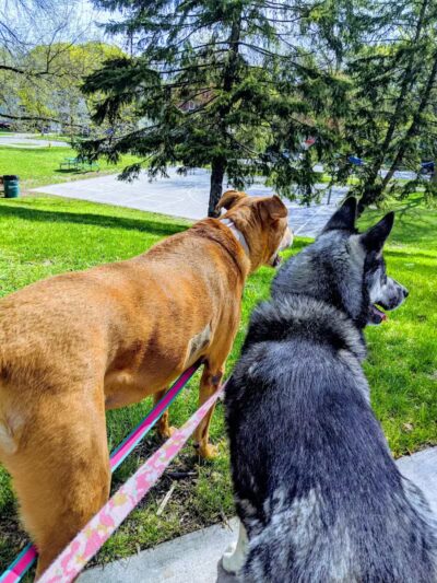 Coit Park - Grand Rapids,