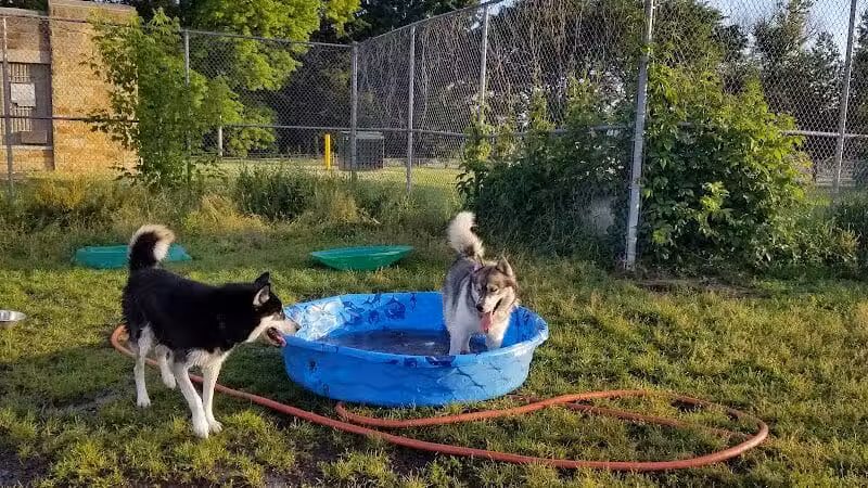Covell Dog Park - Grand Rapids, MI