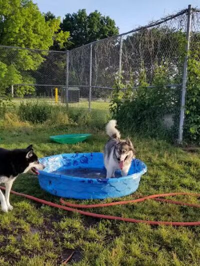 Covell Dog Park - Grand Rapids, MI