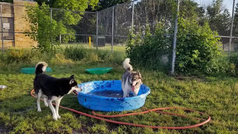 Covell Dog Park - Grand Rapids, MI