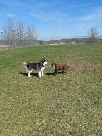 Covell Dog Park - Grand Rapids, MI