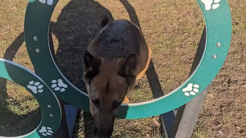 Covell Dog Park - Grand Rapids, MI