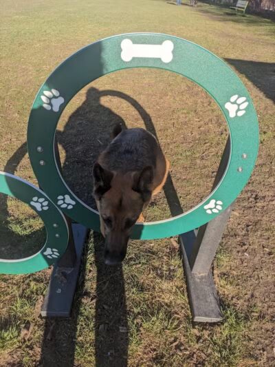 Covell Dog Park - Grand Rapids, MI