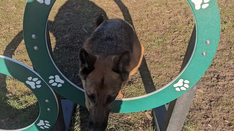 Covell Dog Park - Grand Rapids, MI