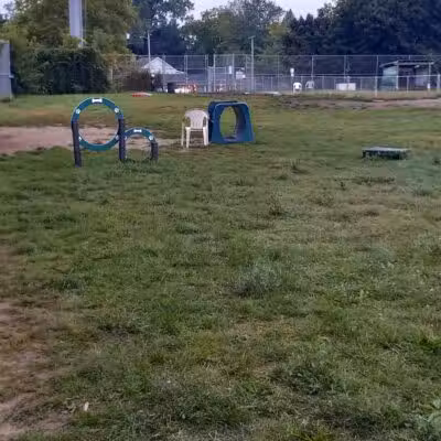 Covell Dog Park - Grand Rapids, MI