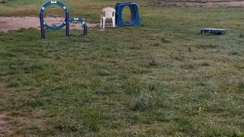 Covell Dog Park - Grand Rapids, MI