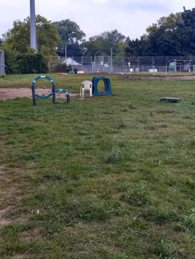 Covell Dog Park - Grand Rapids, MI