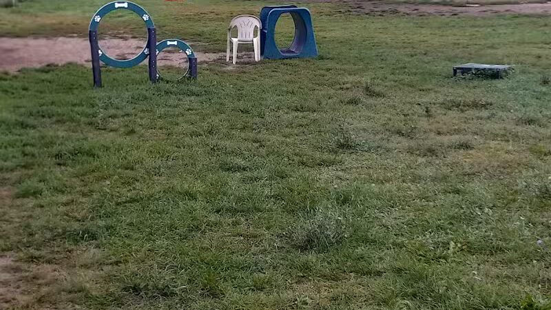 Covell Dog Park - Grand Rapids, MI