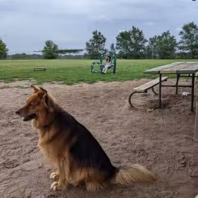 Covell Dog Park - Grand Rapids, MI
