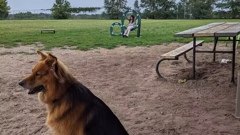 Covell Dog Park - Grand Rapids, MI