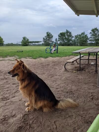 Covell Dog Park - Grand Rapids, MI