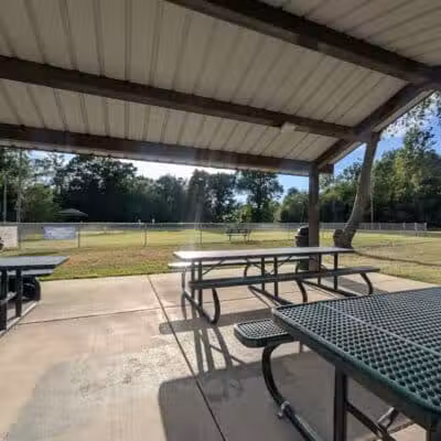 Dog Park - Grand Rapids, MI