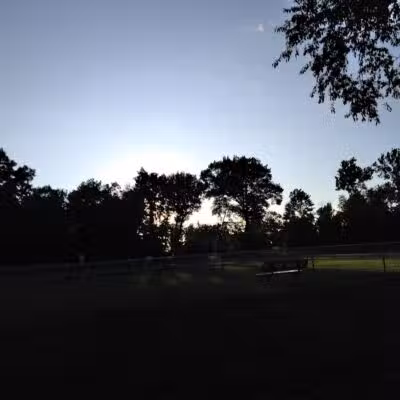 Dog Park - Grand Rapids, MI