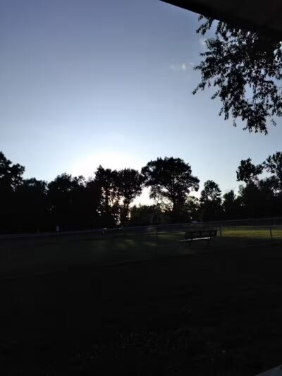 Dog Park - Grand Rapids, MI