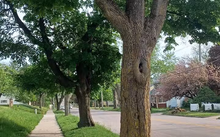 Eastern Park - Grand Rapids,