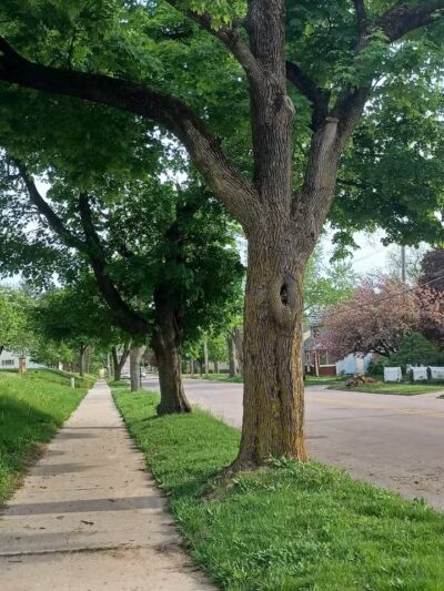 Eastern Park - Grand Rapids,