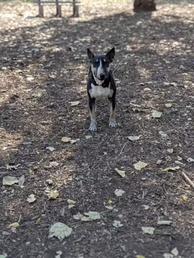 Fuller Park - Grand Rapids,