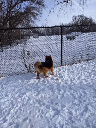 Fuller Park - Grand Rapids,