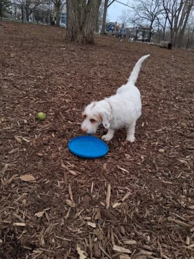 Fuller Park - Grand Rapids,