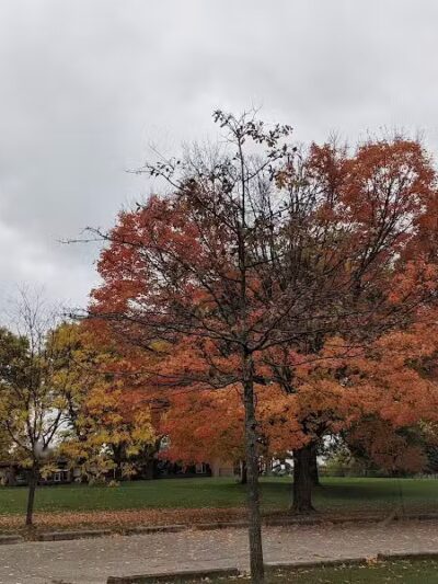 Fuller Park - Grand Rapids,