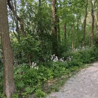 Fuller Park - Grand Rapids,