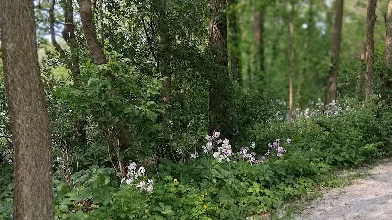 Fuller Park - Grand Rapids,