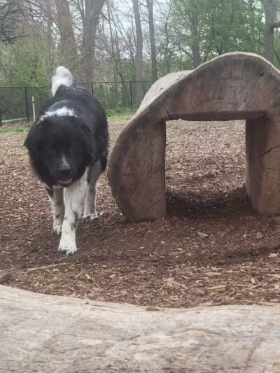 Fuller Park - Grand Rapids,