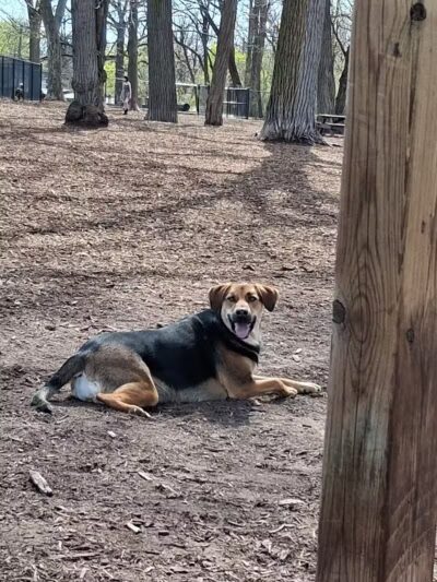 Fuller Park - Grand Rapids,