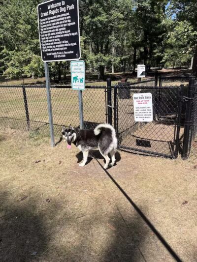 Grand Rapids Dog Park - Grand Rapids,