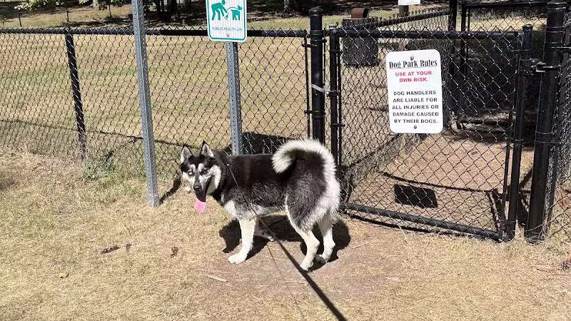 Grand Rapids Dog Park - Grand Rapids,