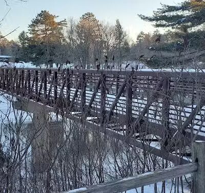 Grand Rapids Dog Park - Grand Rapids,