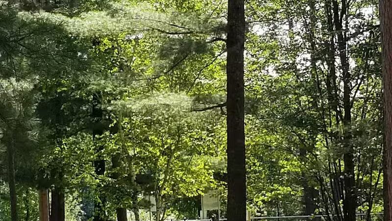 Grand Rapids Dog Park - Grand Rapids,