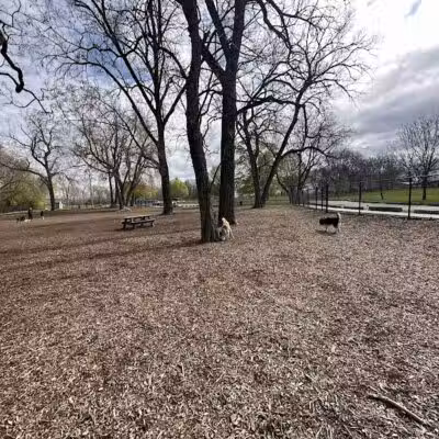 Hillcrest Dog Park - Grand Rapids, MI