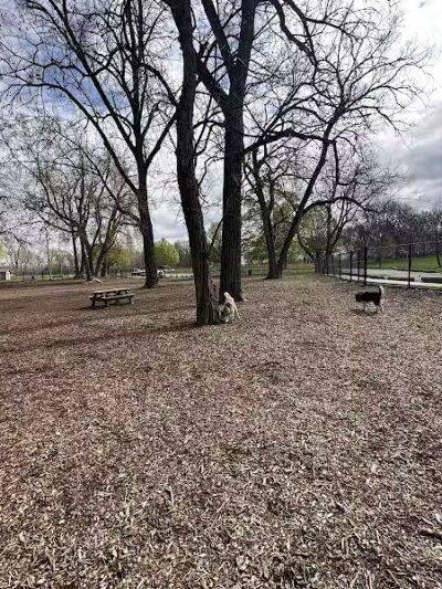 Hillcrest Dog Park - Grand Rapids, MI